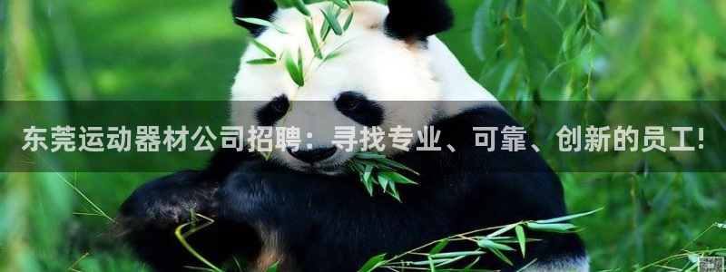yy易游体育官网下载平台APP：东莞运动器材公司招聘：寻找专