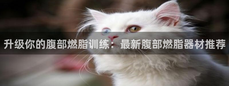 yy易游体育官网下载是干嘛的公司：升级你的腹部燃脂训练：最新