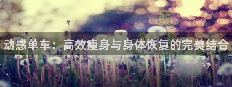 yy易游体育官网下载平台：动感单车：高效瘦身与身体恢复的完美