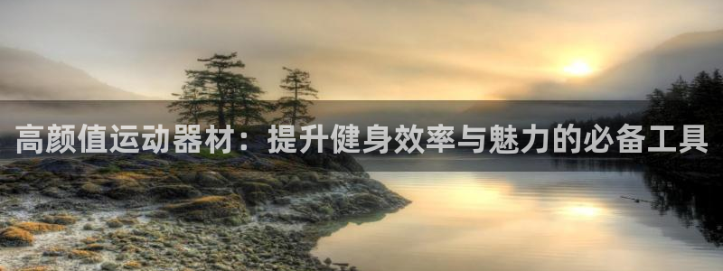 yy易游体育官网下载平台APP：高颜值运动器材：提升健身效率