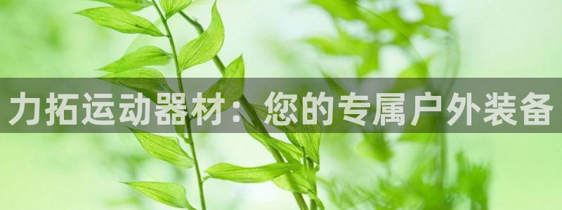 yy易游体育官方正版app娱乐首页网站大全：力拓运动器材：您