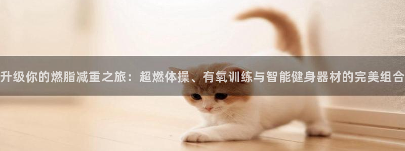 yy易游体育官方正版app集团简介